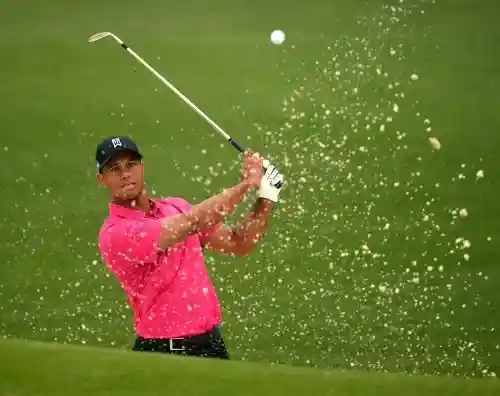 Runsewe reveals why Tiger Woods Nigeria visit failed